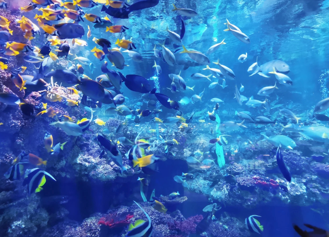 极地海洋世界